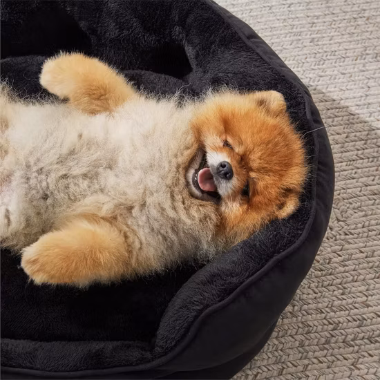 Maßgeschneidertes, modernes Höhlenbett mit runder Kapsel, Acryl, durchsichtig, rund, für Hunde und Katzen im Innenbereich